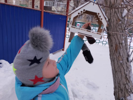 "Всероссийский день зимующих птиц" "Всероссийский день зимующих птиц".